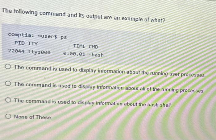 The following command and its output are an example of what? comptia: user$ ps PID TTY TIME CMD 22044 ttys000