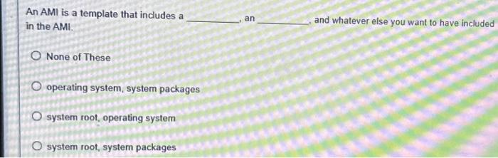 An AMI is a template that includes a in the AMI. O None of These O operating system, system packages O system