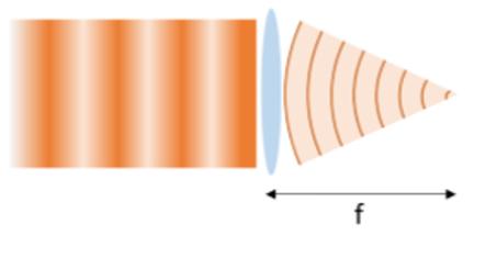 Show that when a plane wave is transmitted through a thin lens