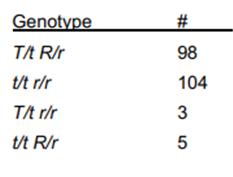 Genotype #3 T/t R/r 98 t/t r/r 104 T/t r/r 3 t/t R/r 5 