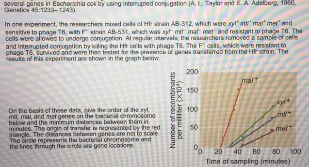 several genes in Escherichia coli by using interrupted conjugation (A. L. Taylor and E. A. Adelberg, 1960, Genetics 45:1