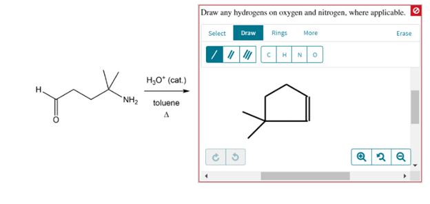 Draw any hydrogens on oxygen and nitrogen, where applicable. O Select Draw Rings More Erase H,O* (cat.) H. NH2 toluene 