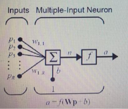 Inputs Multiple-Input Neuron Pi P2 P3 W11 Σ WLR PR a-f(Wp b) 