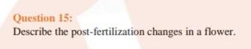 Question 15: Describe the post-fertilization changes in a flower.