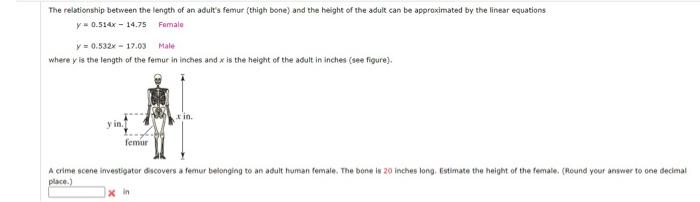 The relationship between the length of an adults femur (thigh bone) and the height of the adult can be approximated by the l