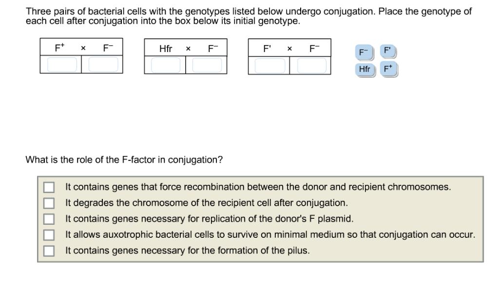 Three pairs of bacterial cells with the genotypes listed below undergo conjugation. Place the genotype of each cell after con