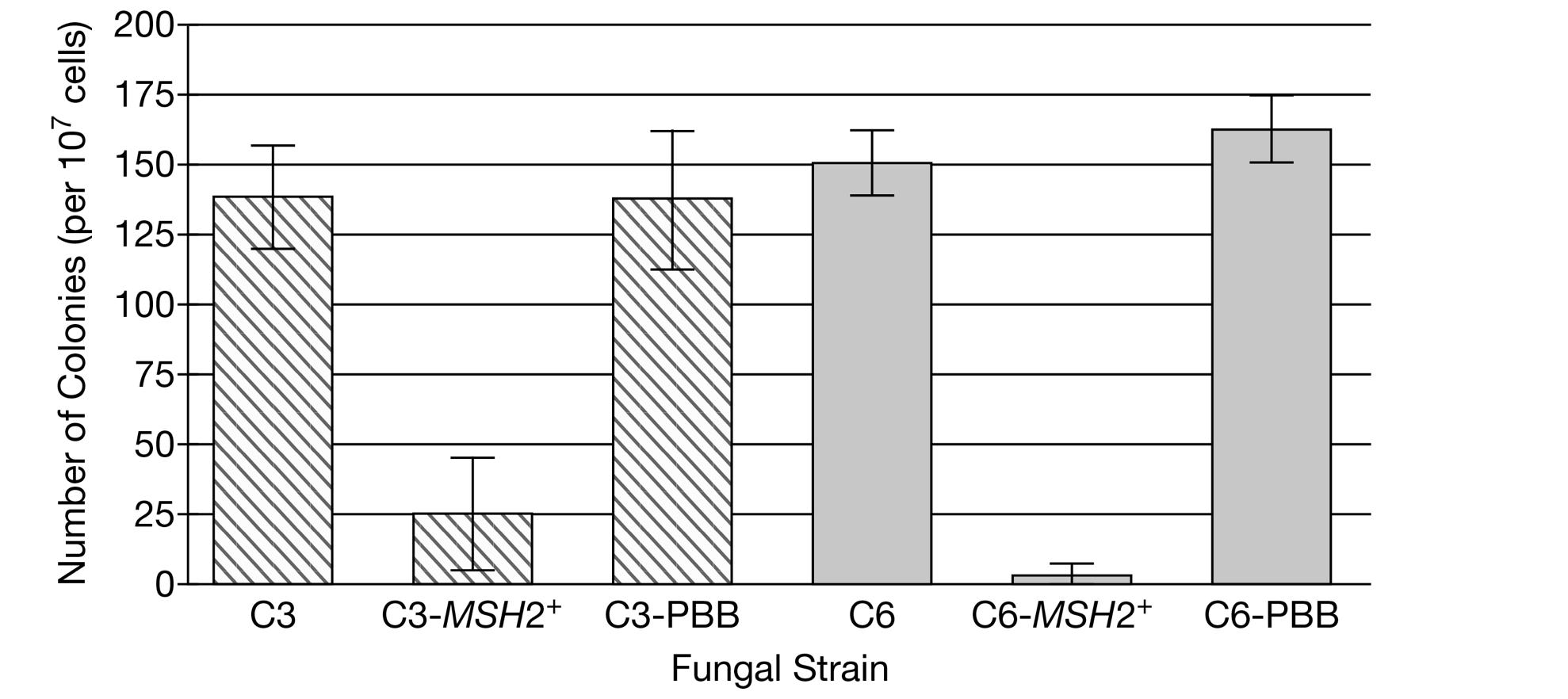 Number of Colonies (per 107 cells) C3 C6-MSH2+ C6-PBB C3-MSH2+ C3-PBB C6 Fungal Strain