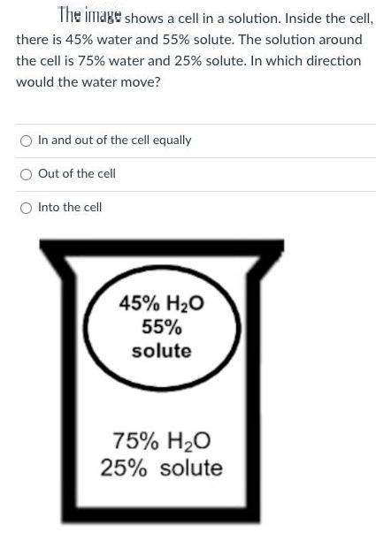 The image shows a cell in a solution. Inside the cell, there