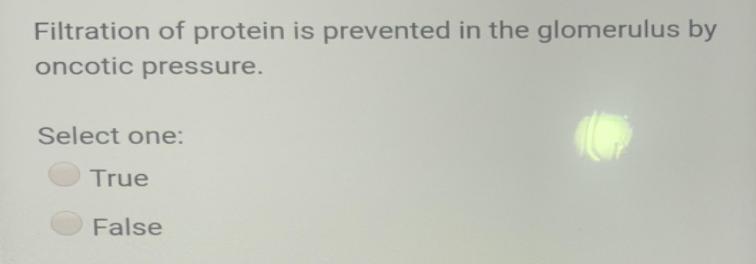 Filtration of protein is prevented in the glomerulus by oncotic pressure. Select