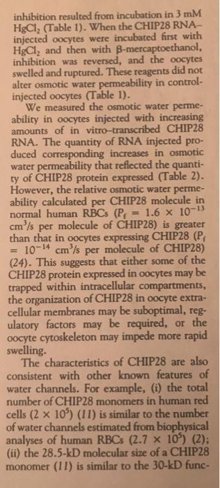 inhibition resulted from incubation in 3 mm HgCl, (Table 1). When the CHIP28 RNA- injected oocytes were incubated first with