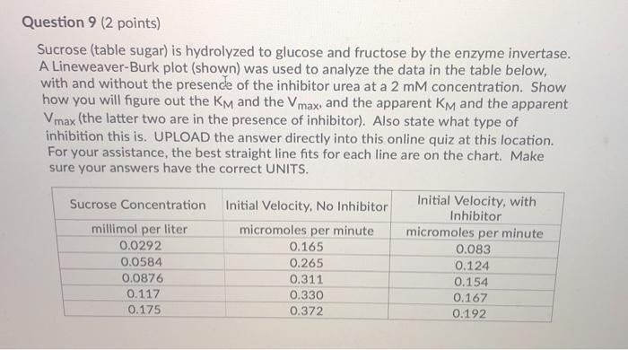 Question 9 (2 points) Sucrose (table sugar) is hydrolyzed to glucose and fructose by the enzyme invertase. A Lineweaver-Burk