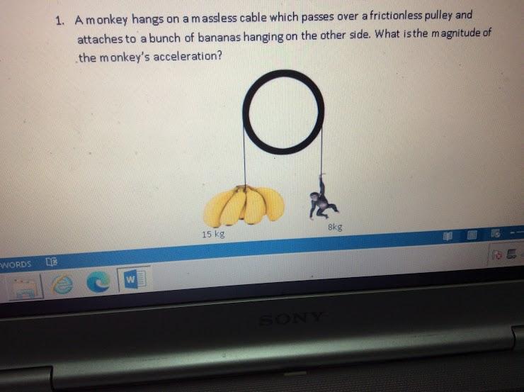 1. Amonkey hangs on a massless cable which passes over a frictionless pulley and attaches to a bunch of bananas hanging on th