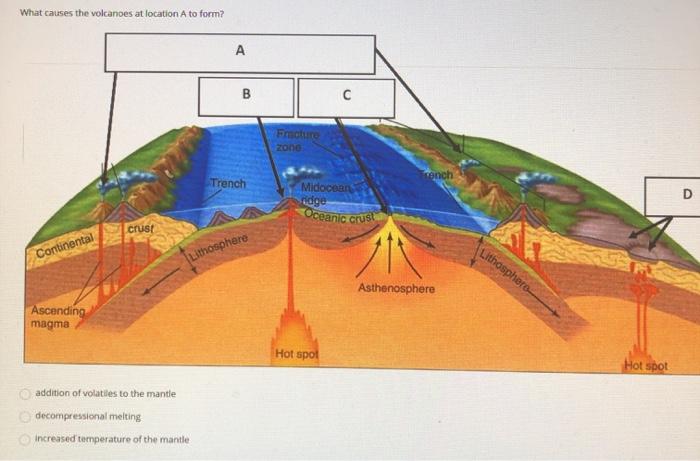What causes the volcanoes at location A to form? AB сFracture zone rench Trench DMidocean Hidge Oceanic crus crust Contine