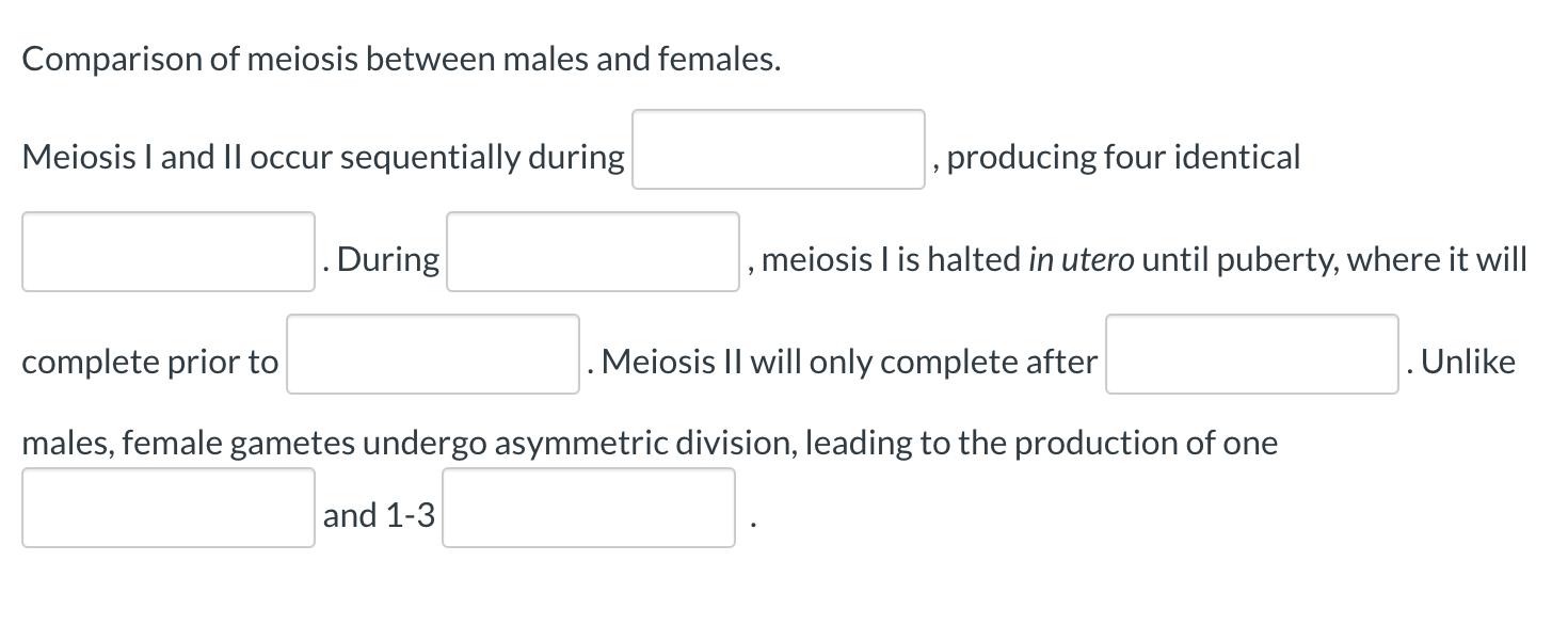 Comparison of meiosis between males and females. Meiosis I and II occur sequentially during , producing four identical . Duri