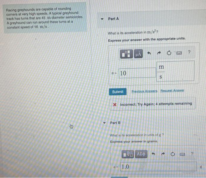 Racing greyhounds are capable of rounding comers at very high speeds. A typical greyhound track has turns that are 45 m diame