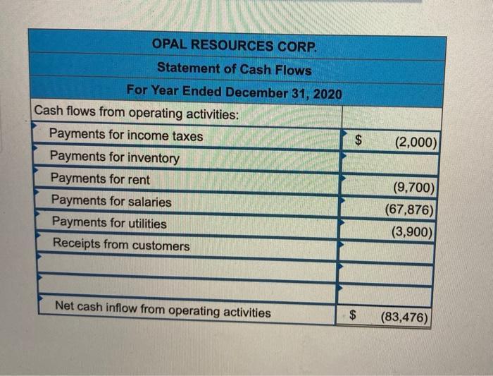 OPAL RESOURCES CORP. Statement of Cash Flows $(2,000) For Year Ended December 31, 2020 Cash flows from operating activities: