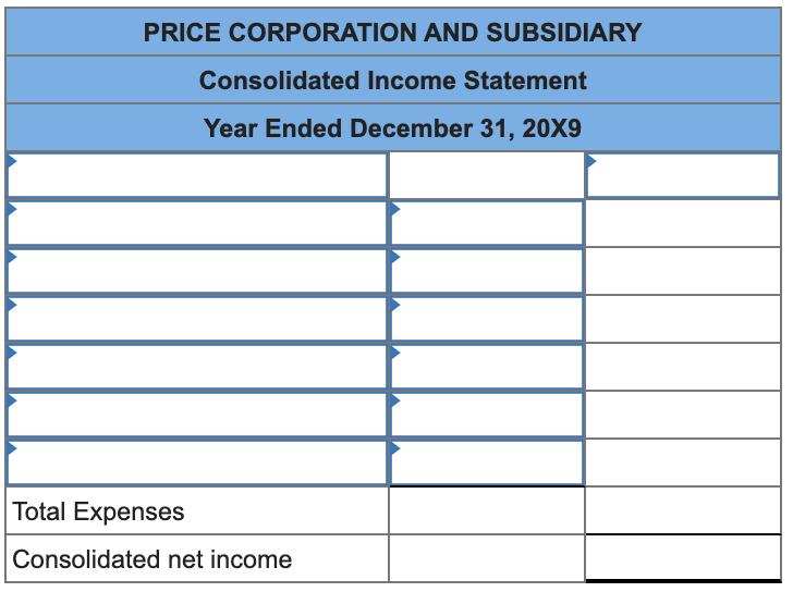 PRICE CORPORATION AND SUBSIDIARY Consolidated Income Statement Year Ended December 31, 20X9 Total Expenses Consolidated net i