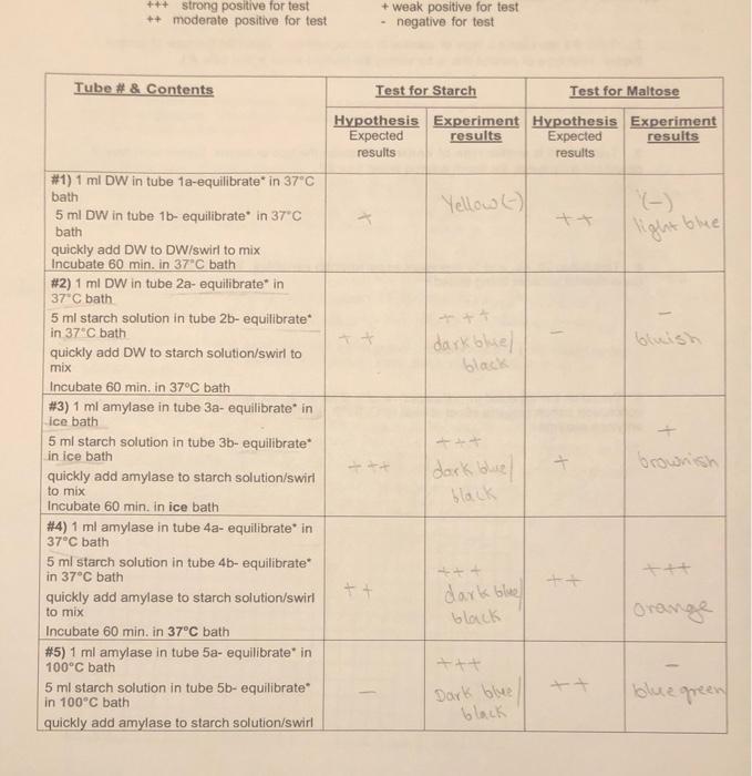 +++ strong positive for test ++ moderate positive for test + weak positive for test negative for test Tube # & Contents Test 