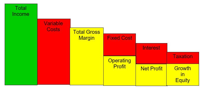 Total Income Variable Costs Total Gross Margin Fixed Cost Interest Taxation Operating Profit Net Profit Growth in Equity