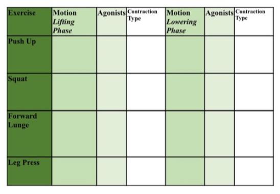 Motion Lifting Phase Agonists Contraction Type Motion Lowering Phase Agonists Contraction Type