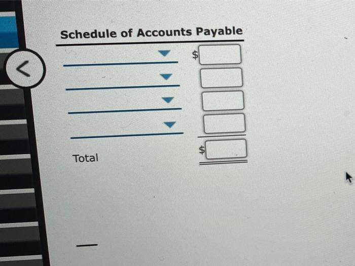 Schedule of Accounts Payable< Total -
