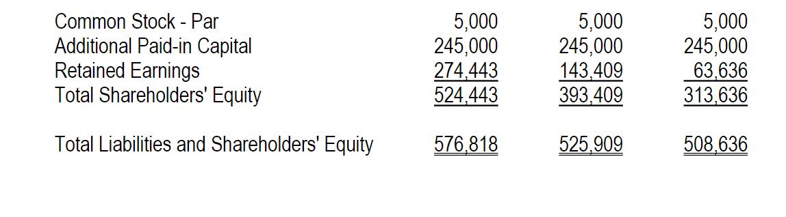 Common Stock - Par Additional Paid-in Capital Retained Earnings Total Shareholders Equity 5,000 245,000 274,443 524,443 5,00