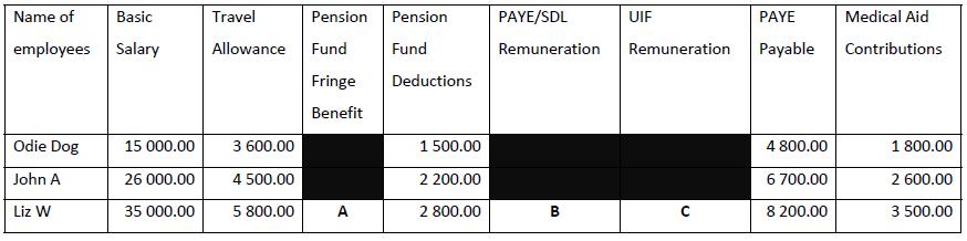 Name of Basic Travel Pension Pension PAYE/SDL UIF PAYE Medical Aid employees Salary Allowance Fund Remuneration Remuneration