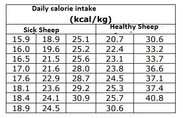 Daily calorie intake (kcal/kg) Sick Sheep Healthy Sheep 15.9 18.9 25.1 20.7 30.6 16.0 19.6 25.2 22.4 33.2 16.5 21.5 25.6 23.1