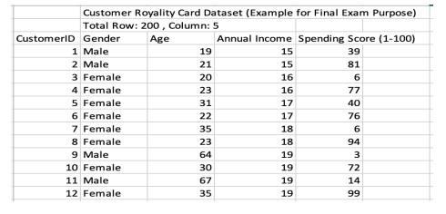 19 15 Customer Royality Card Dataset (Example for Final Exam Purpose) Total Row: 200, Column: 5 CustomerlD Gender Age Annual