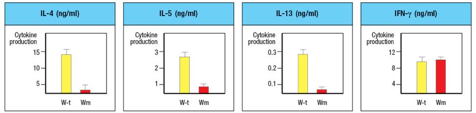 IL-4 (ng/ml) IL-5 (ng/ml) IL-13 (ng/ml) IFN-y (ng/ml) Cytokine production 15 Cytokine production Cytokine production 0.3 uction 12 10 0.2 0.1 W-t Wm W-t Wm W-t Wm Wt Wm
