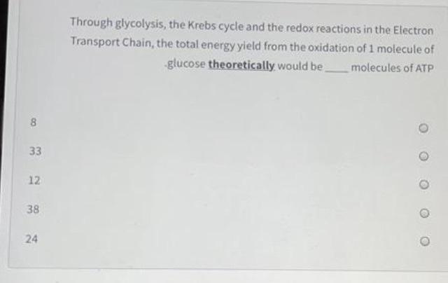 Through glycolysis, the Krebs cycle and the redox reactions in the Electron Transport Chain, the total energy yield from the