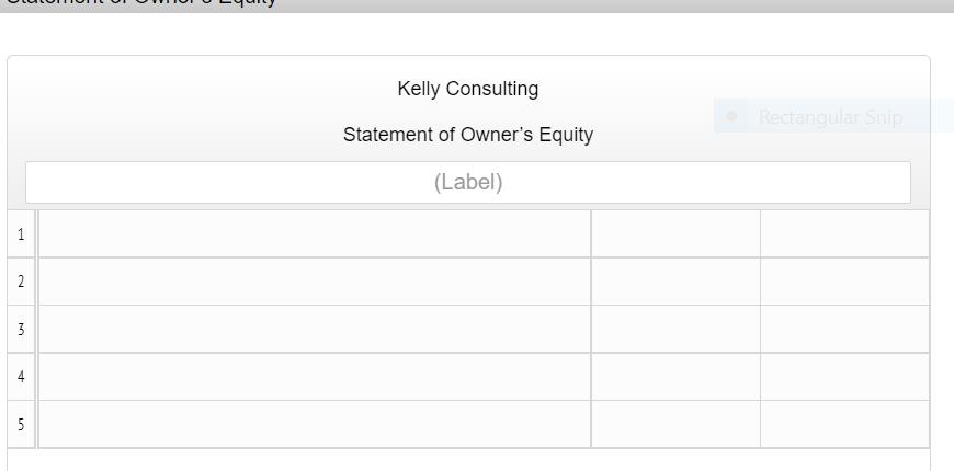 Kelly Consulting Rectangular Snip Statement of Owners Equity (Label) 12 34 5