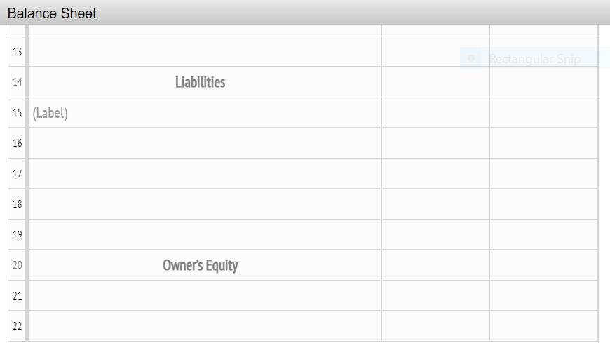 Balance Sheet 13 Rectangular Snip 114 Liabilities 15 (Label) 16 17 118 119 20 Owners Equity 21 22