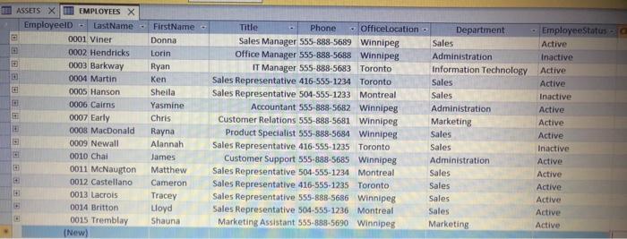 ASSETS X EMPLOYEES X Employeeld - Last Name 0001 Viner 0002 Hendricks 0003 Barkway 0004 Martin 0005 Hanson 0006 Cairns 0007 E