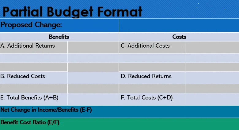 Partial Budget Format Proposed Change: Benefits Costs A. Additional Returns C. Additional Costs B. Reduced Costs D. Reduced R