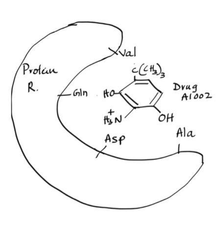 Xval Protan R. (CH) Gin Ho Drug A1002 F+ Hin OH Ala ASP