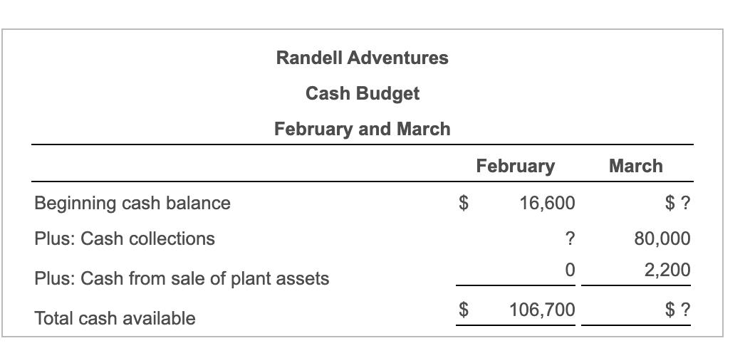 Randell Adventures Cash Budget February and March March February $ 16,600 $? Beginning cash balance Plus: Cash collections 80