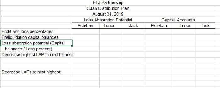 ELJ PartnershipCash Distribution PlanAugust 31, 2019Loss Absorption PotentialEsteban Lenor JackCapital AccountsEsteban