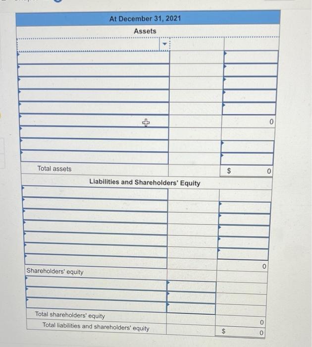 At December 31, 2021Assets+0Total assets$0Liabilities and Shareholders Equity0Shareholders equityTotal shareholde