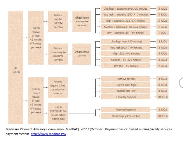 + 2 RUGS 2 RUGS Patients require extensive services Rehabilitation + extensive services Llimo high + extensive fover 720 minu
