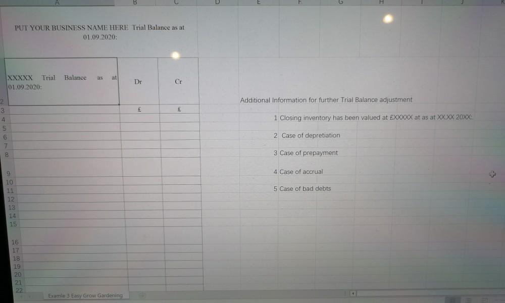PUT YOUR BUSINESS NAME HERE Trial Balance as at01.09.2020:BalanceasatXXXXX Trial01.09.2020:DeCrAdditional Informatio