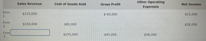 Other Operating Sales Revenue Cost of Goods Sold Gross Profit Net Income