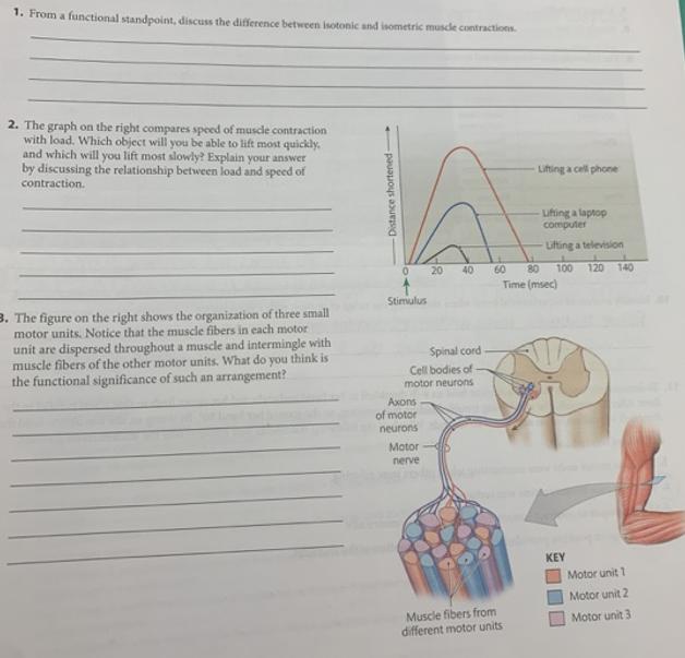 1. From a functional standpoint, discuss the difference between isotonic and isometric