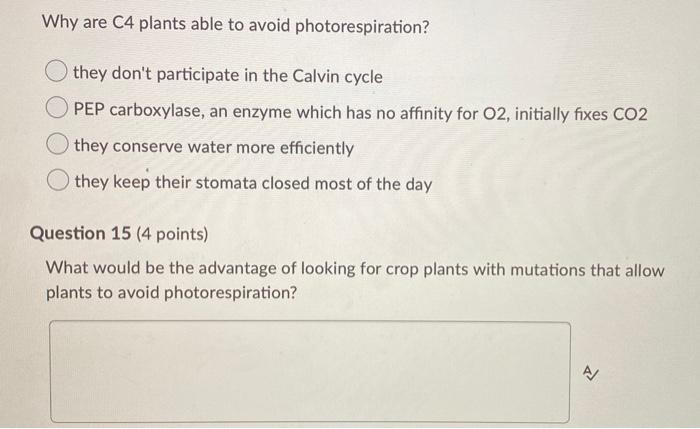 Why are C4 plants able to avoid photorespiration?they dont participate in the Calvin cyclePEP carboxylase, an enzyme which
