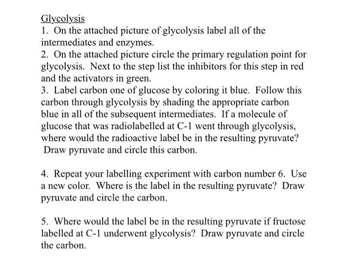 Glycolysis1. On the attached picture of glycolysis label all of theintermediates and enzymes.2. On the attached picture ci
