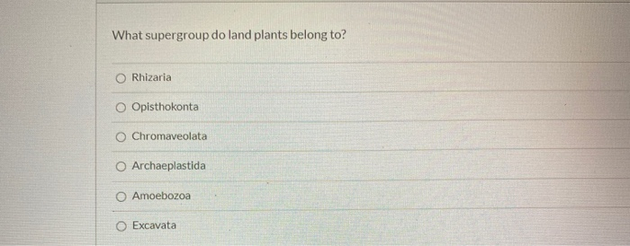What supergroup do land plants belong to?O RhizariaO OpisthokontaChromaveolataO ArchaeplastidaO AmoebozoaO Excavata