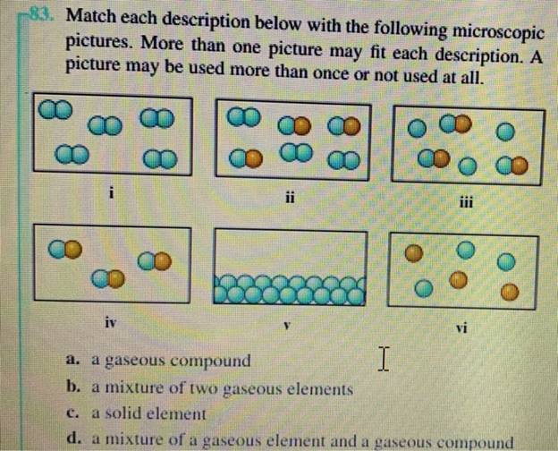 83. Match each description below with the following microscopicpictures. More than one picture may fit each description. Ap