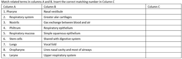 Column CMatch related terms in columns A and B. Insert the correct matching number in Column CColumn AColumn B1. Pharynx
