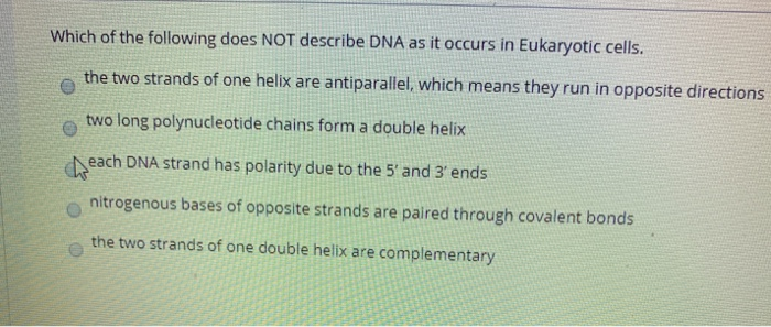 primer to the 3' end of the RNA primer to both ends