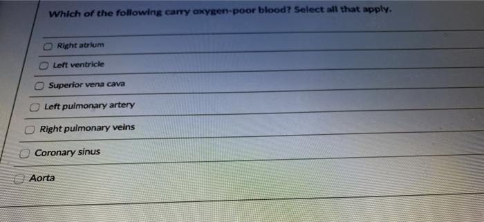 Which of the following carry oxygen-poor blood? Select all that apply. Right atrium Left ventricle Superior